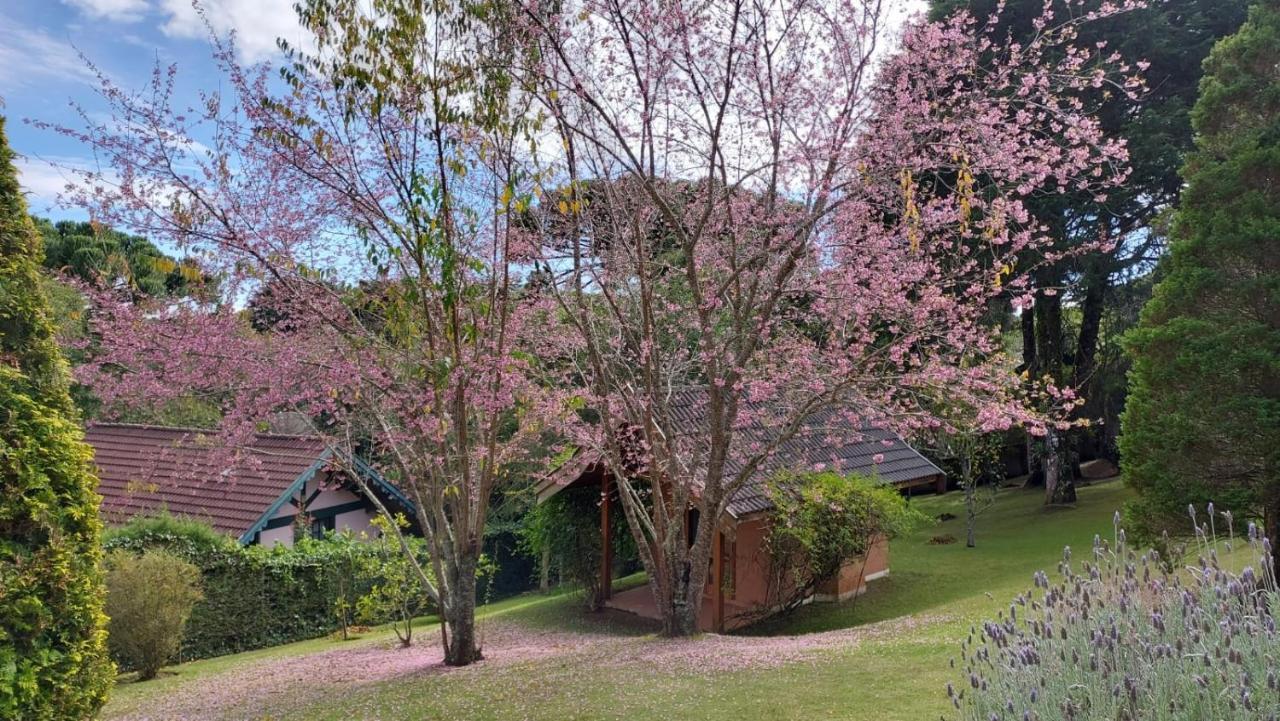 Casa Com Espaco De Sobra! Campos do Jordão